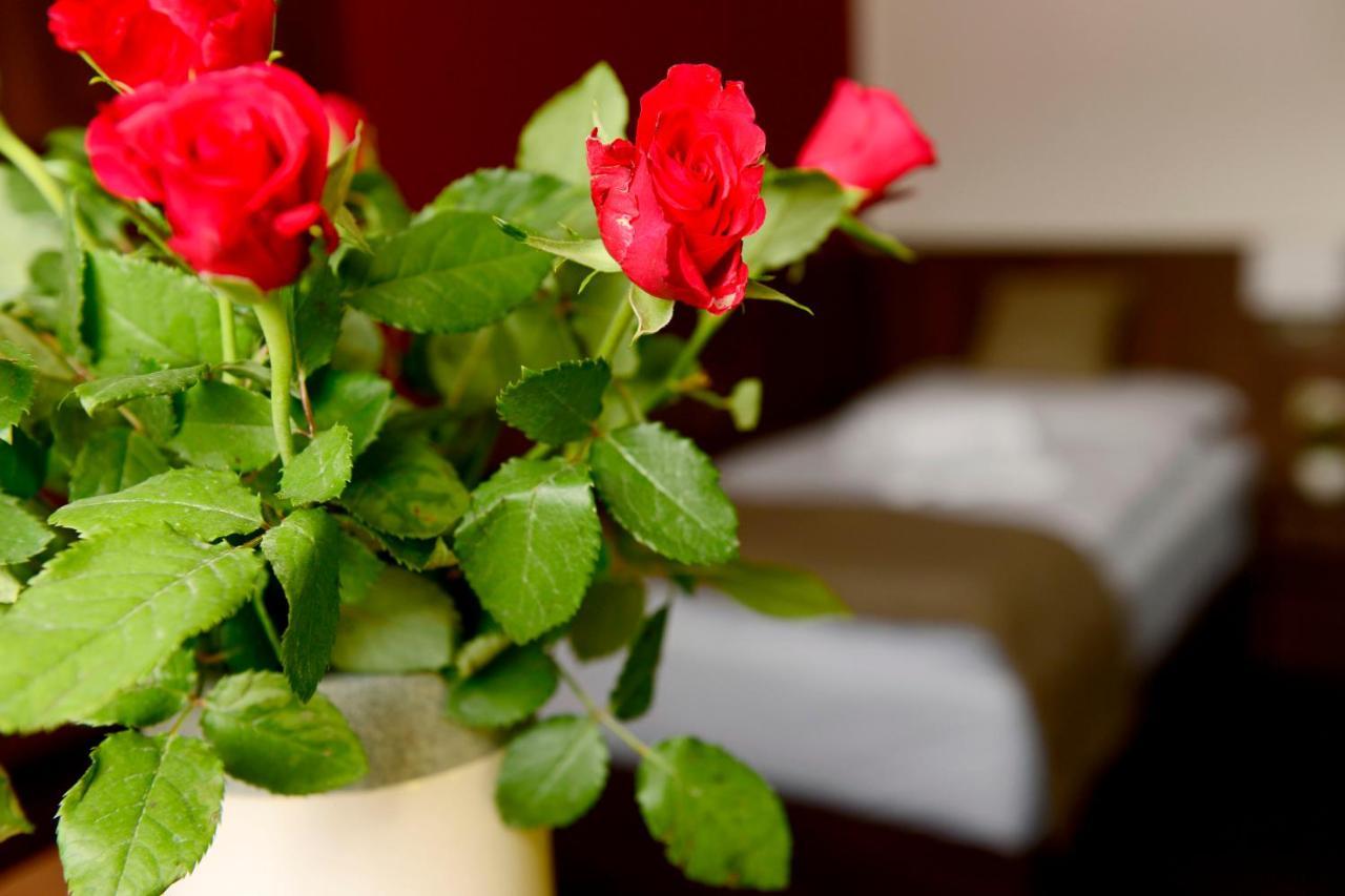 Hotel U Hada Zatec Extérieur photo